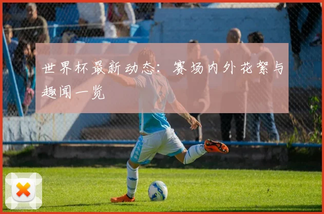 世界杯最新动态：赛场内外花絮与趣闻一览