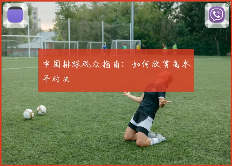 中国排球观众指南:如何欣赏高水平对决