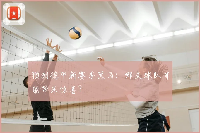 预测德甲新赛季黑马:哪支球队可能带来惊喜?
