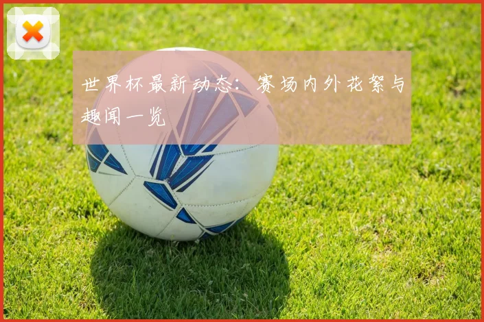 世界杯最新动态：赛场内外花絮与趣闻一览