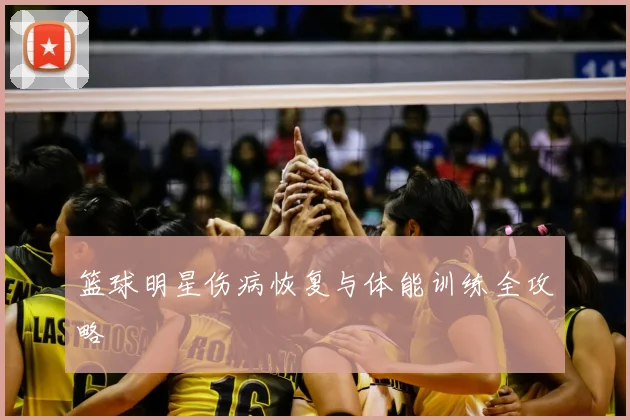 篮球明星伤病恢复与体能训练全攻略