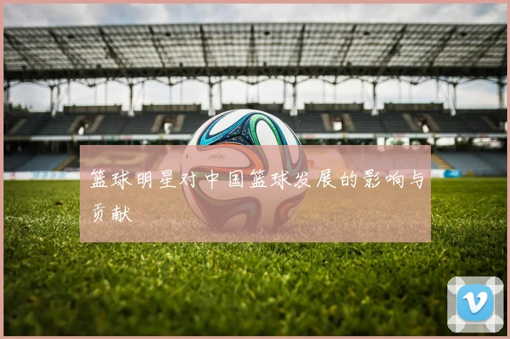 篮球明星对中国篮球发展的影响与贡献